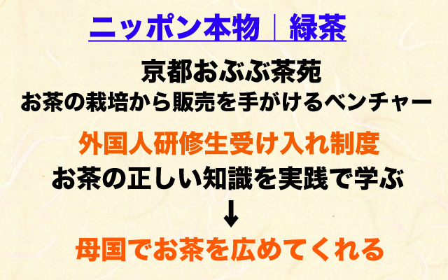 ガイアの夜明け|京都おぶぶ茶苑.jpg