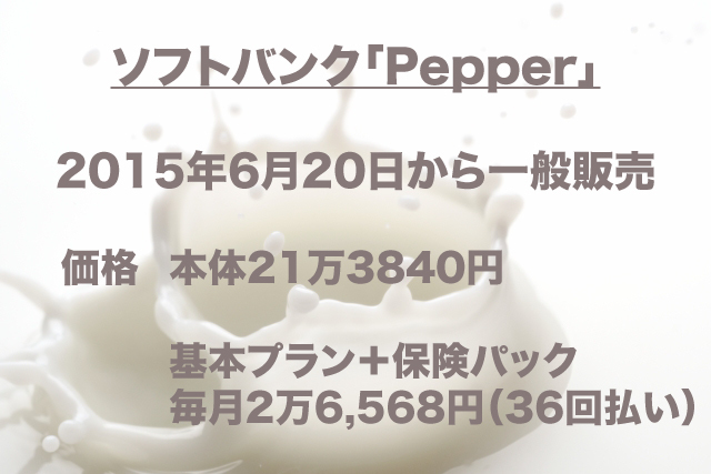 ペッパー|価格.jpg