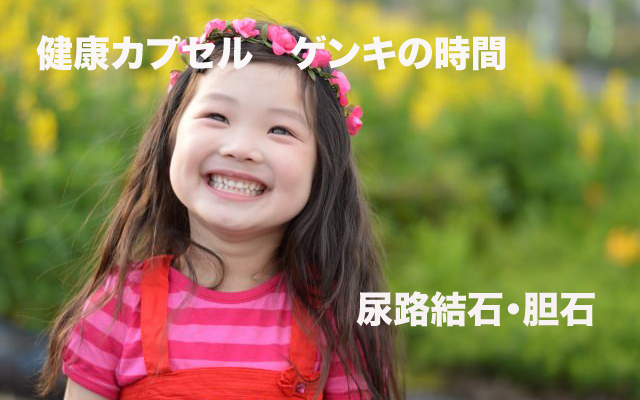 健康カプセルゲンキの時間|尿路結石・胆石.jpg