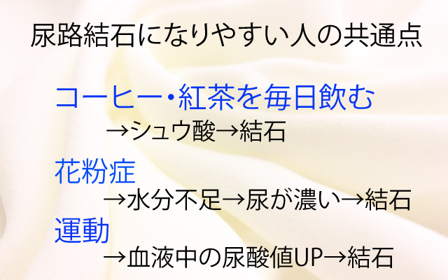 健康カプセルゲンキの時間|尿路結石共通点.jpg