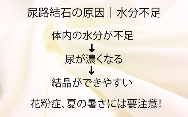 健康カプセルゲンキの時間|尿路結石水分不足.jpg