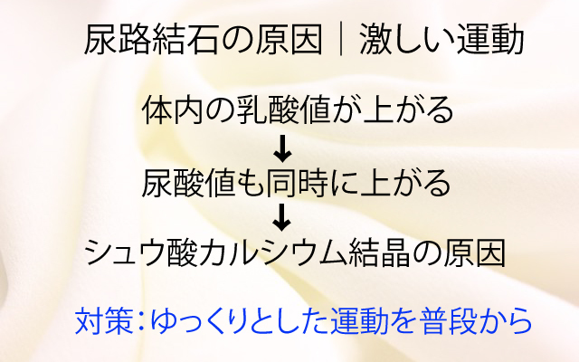 健康カプセルゲンキの時間|尿路結石激しい運動.jpg