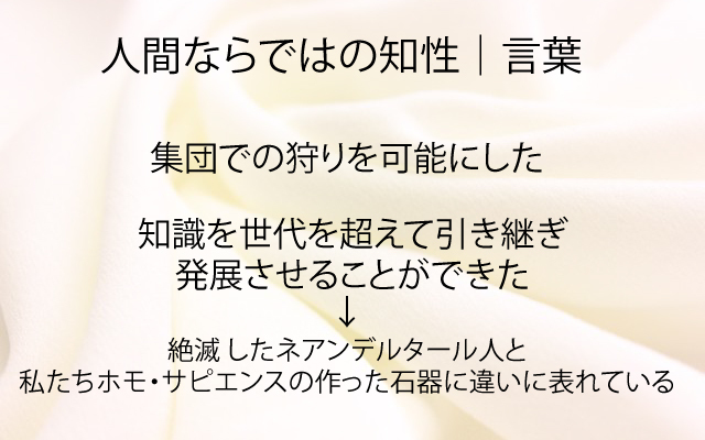 NHKスペシャル|言葉.jpg